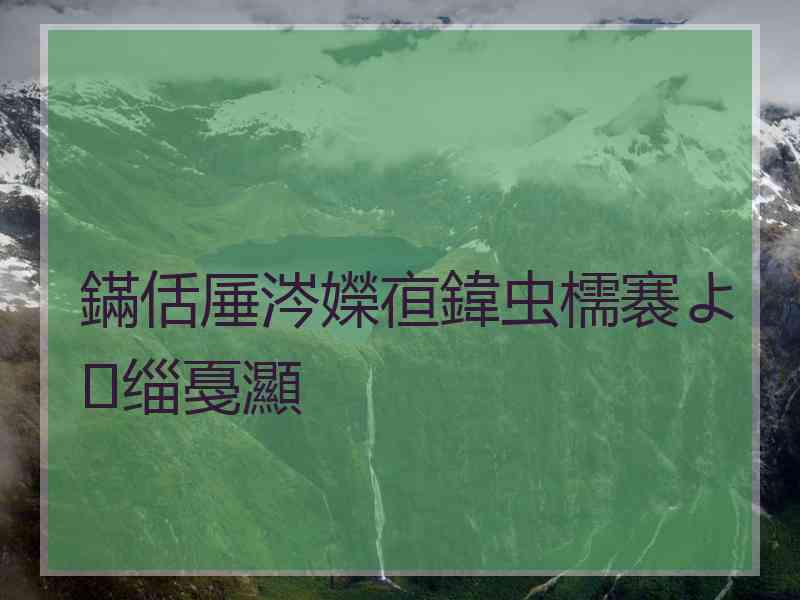 鏋佸厜涔嬫亱鍏虫檽褰よ缁戞灦