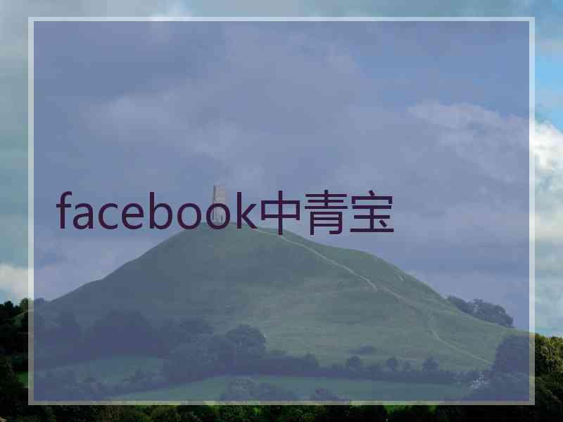 facebook中青宝