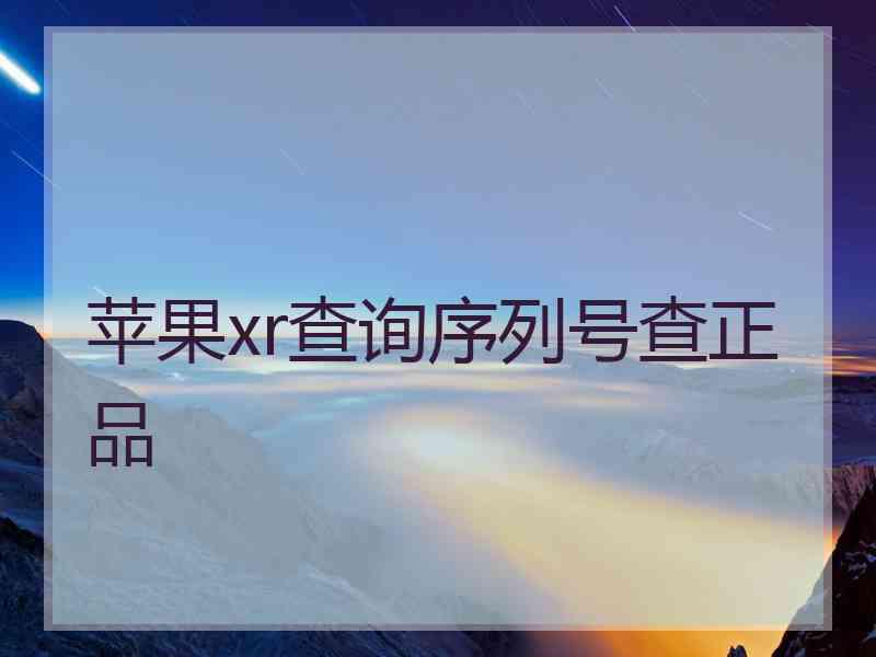 苹果xr查询序列号查正品