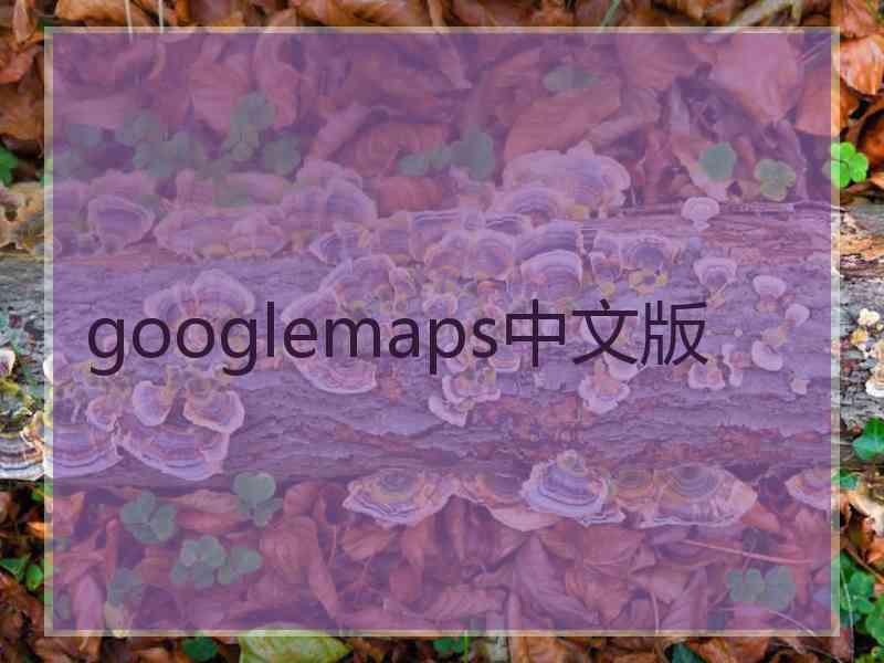 googlemaps中文版