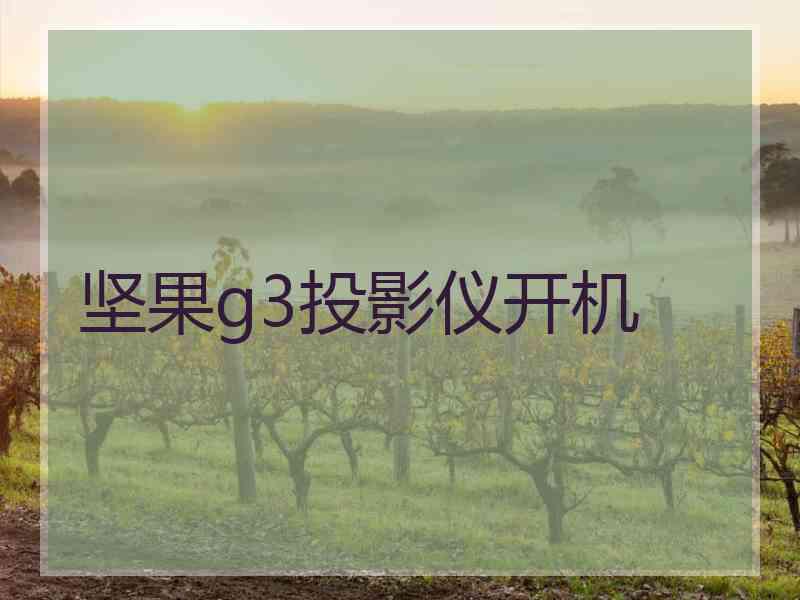 坚果g3投影仪开机