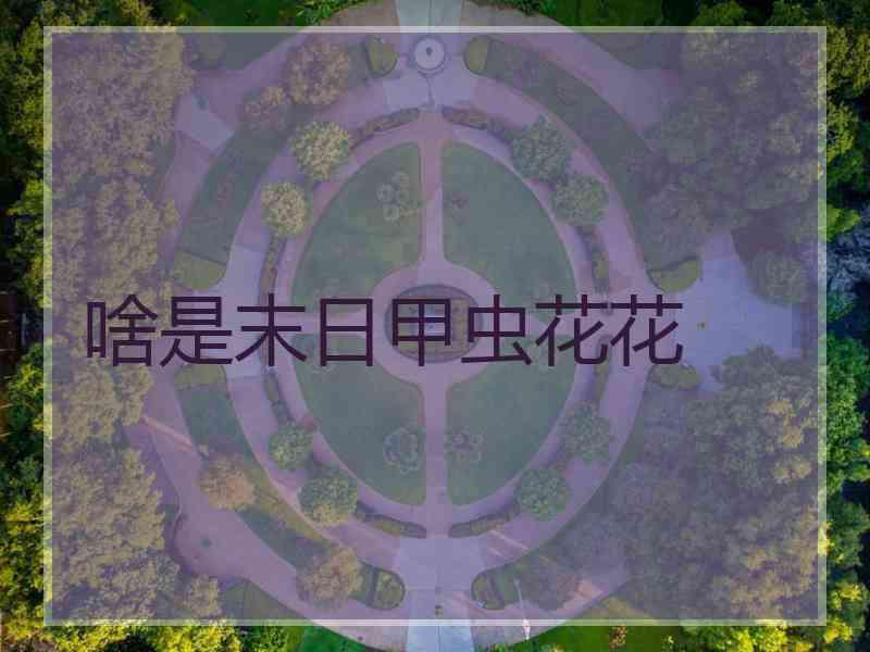 啥是末日甲虫花花