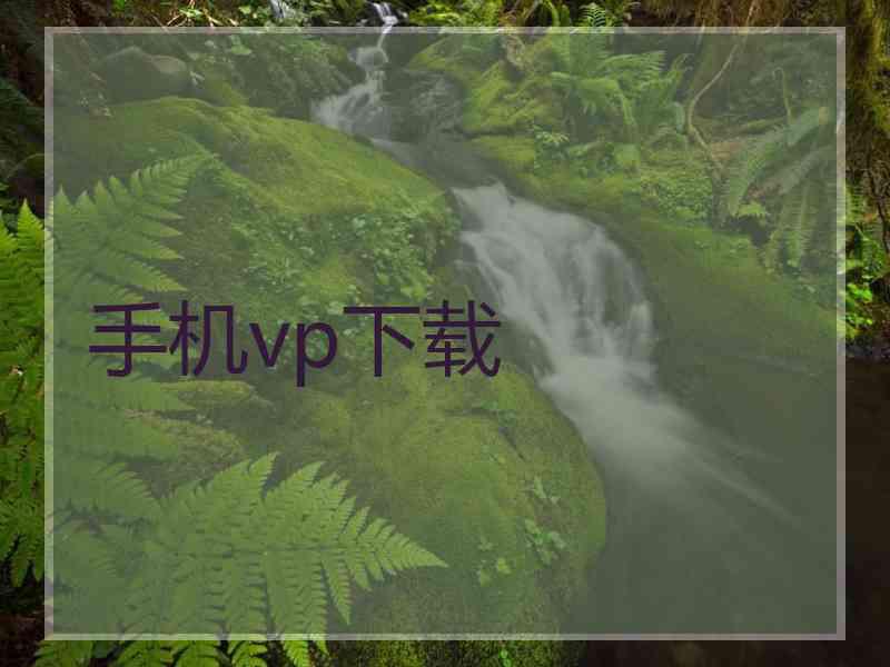 手机vp下载
