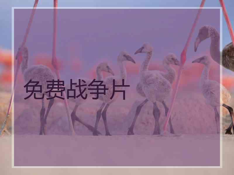 免费战争片