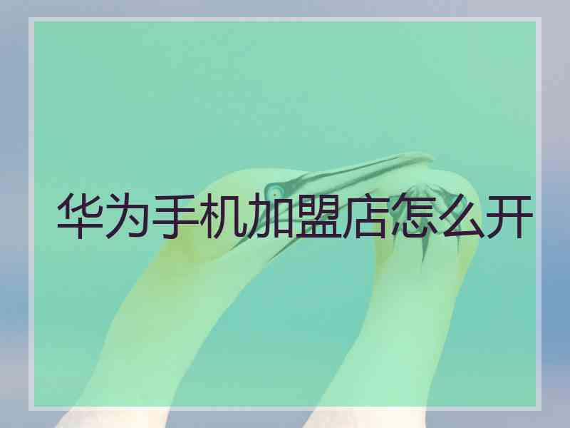 华为手机加盟店怎么开