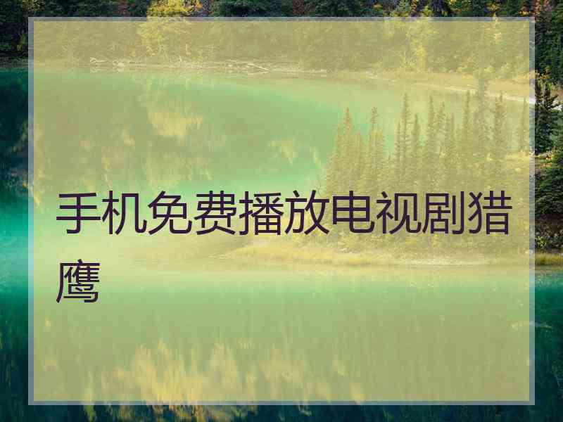 手机免费播放电视剧猎鹰