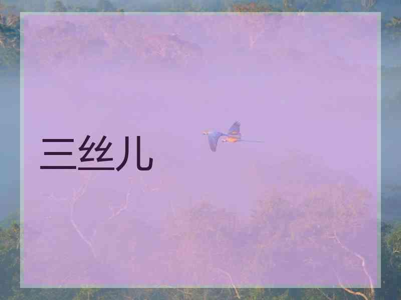 三丝儿