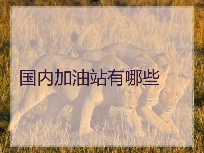 国内加油站有哪些