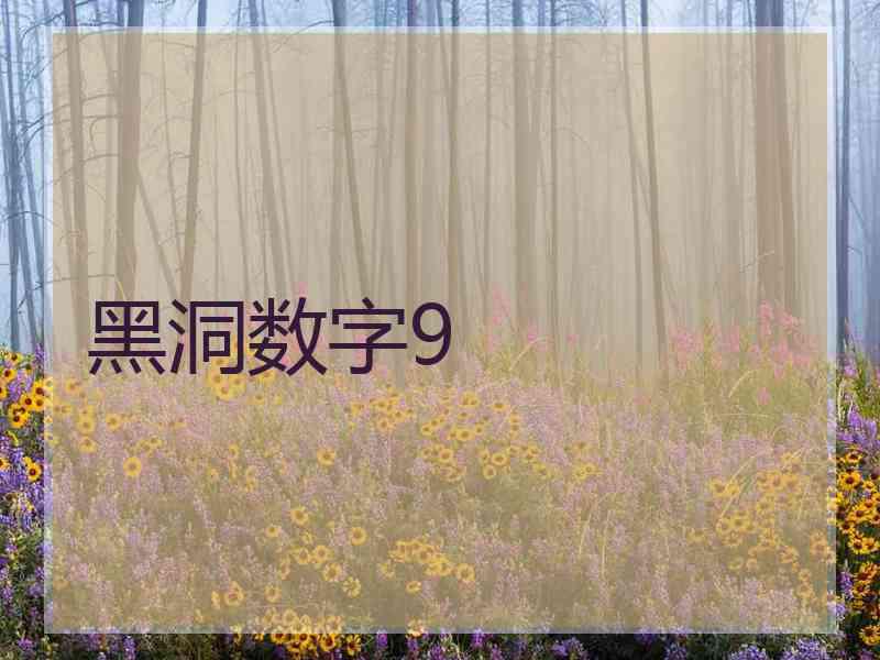 黑洞数字9
