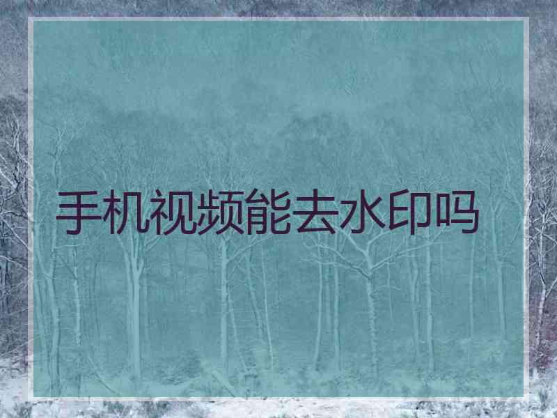 手机视频能去水印吗