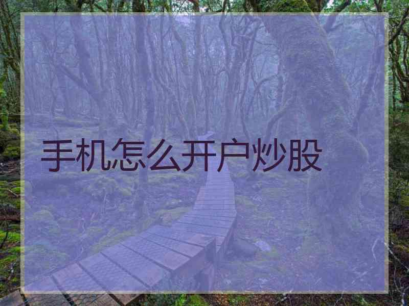 手机怎么开户炒股