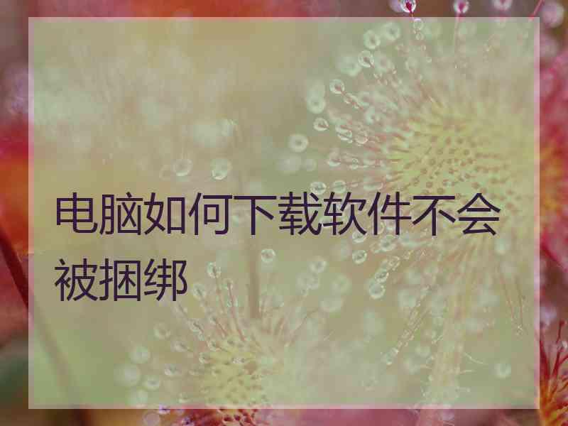 电脑如何下载软件不会被捆绑