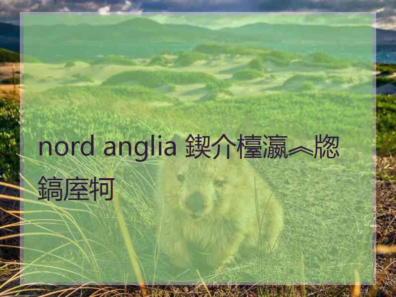 nord anglia 鍥介檯瀛︽牎鎬庢牱
