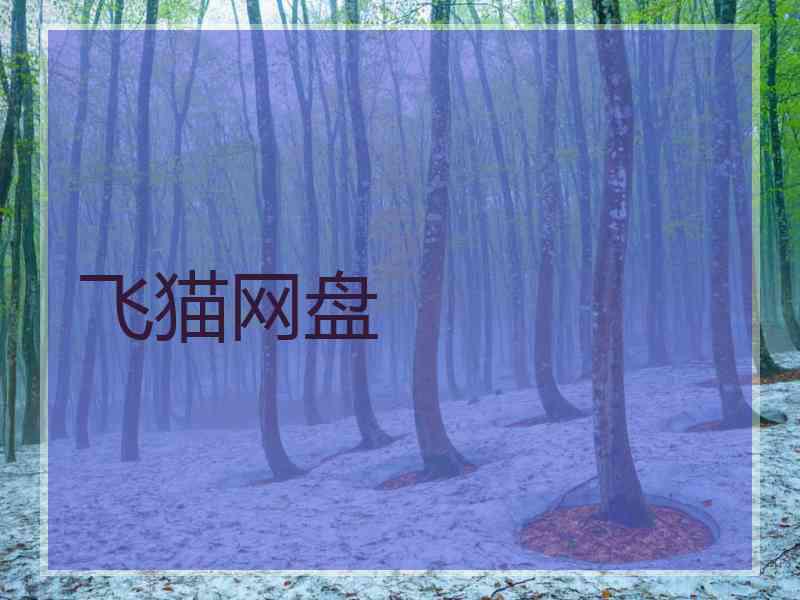 飞猫网盘