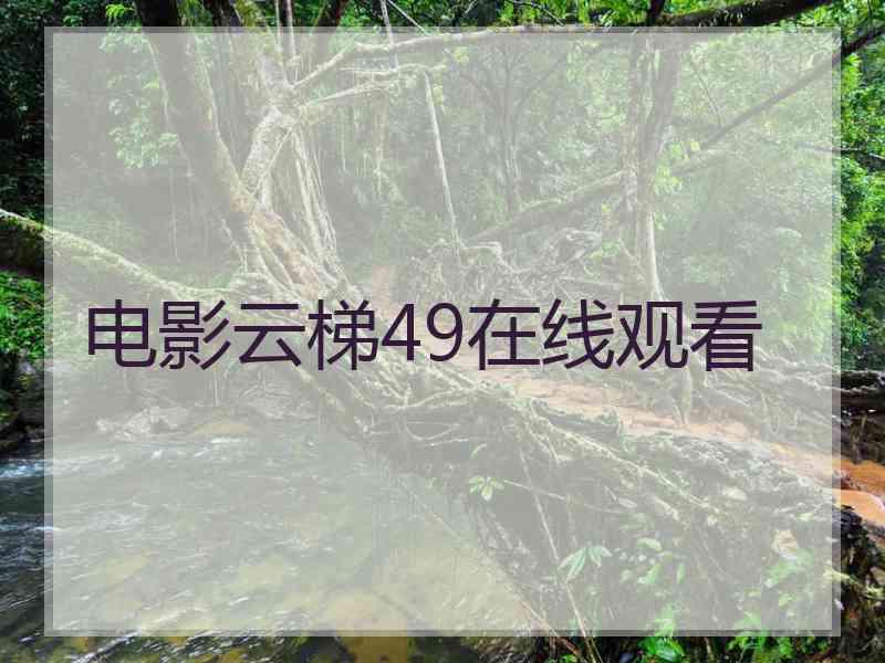 电影云梯49在线观看