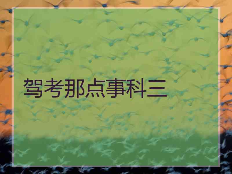 驾考那点事科三