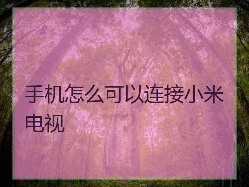 手机怎么可以连接小米电视