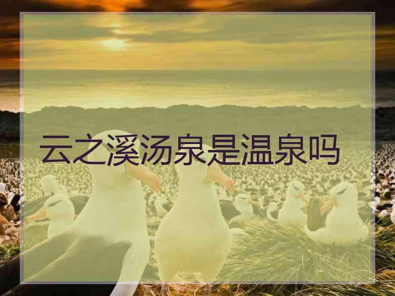 云之溪汤泉是温泉吗