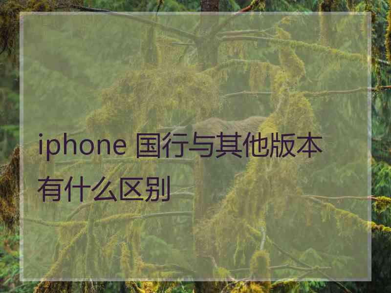 iphone 国行与其他版本有什么区别