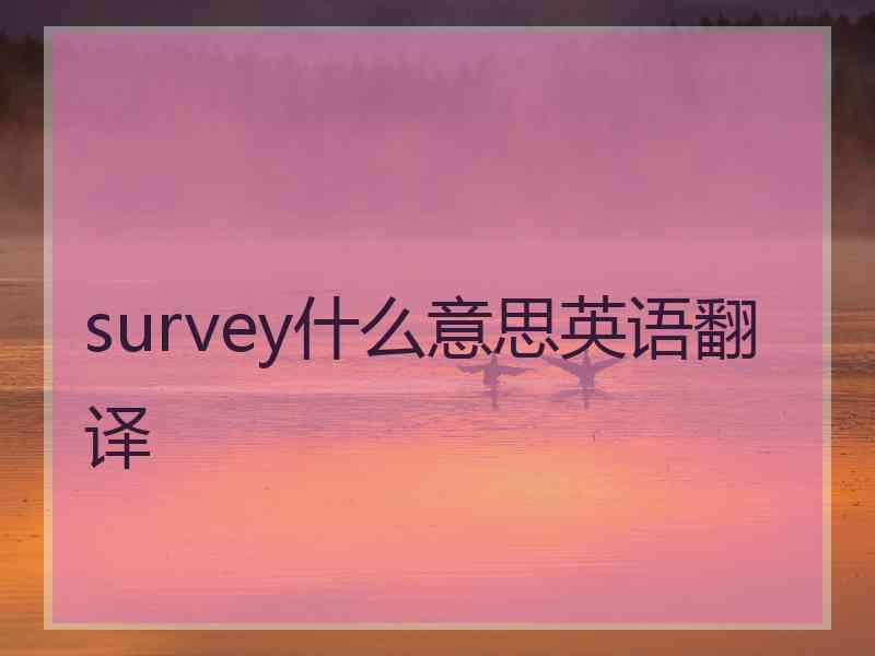 survey什么意思英语翻译