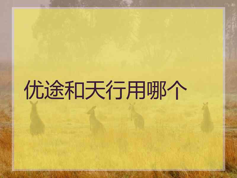 优途和天行用哪个