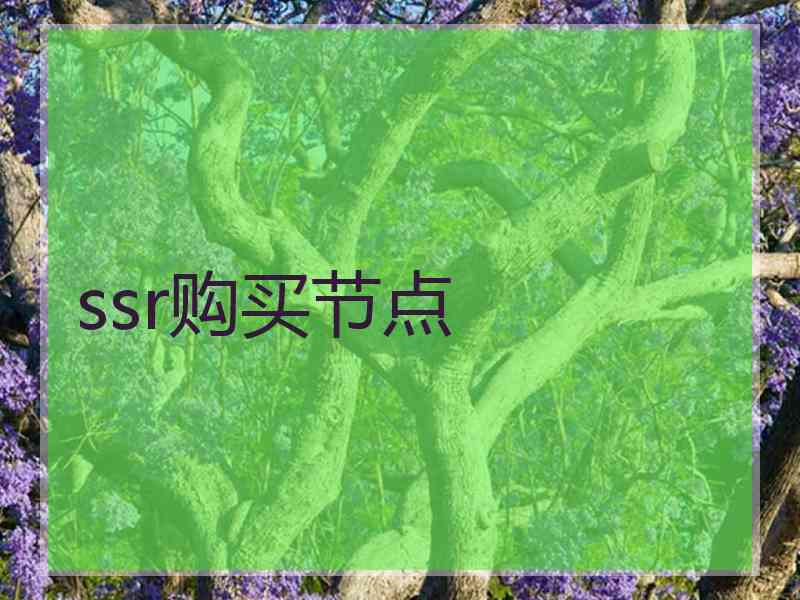 ssr购买节点