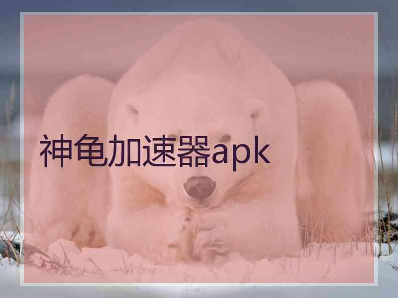 神龟加速器apk