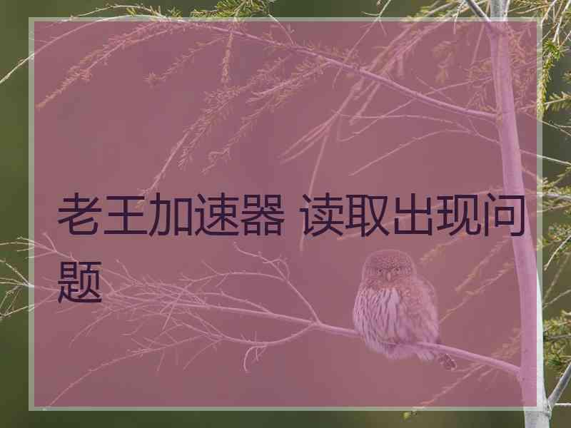 老王加速器 读取出现问题