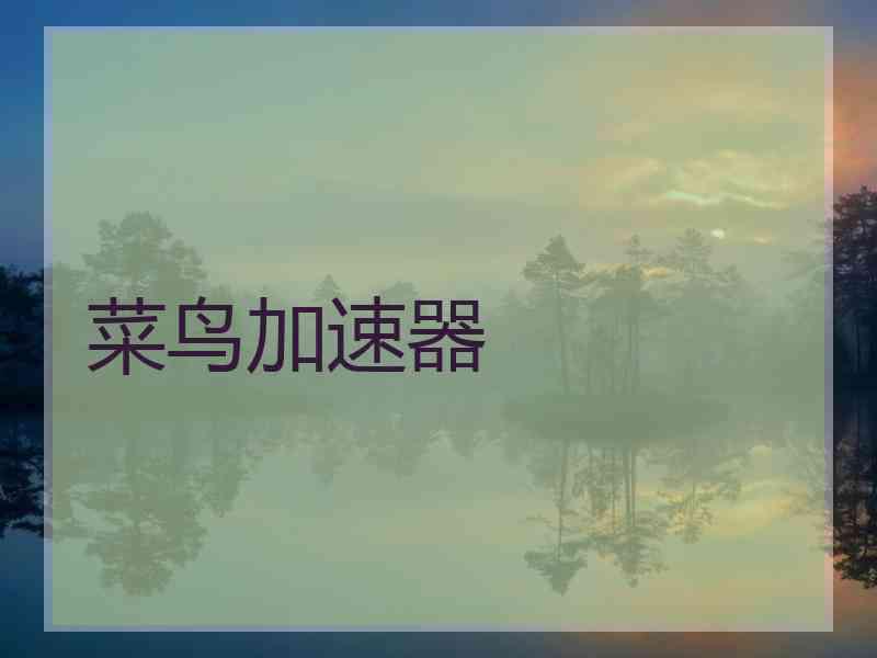 菜鸟加速器