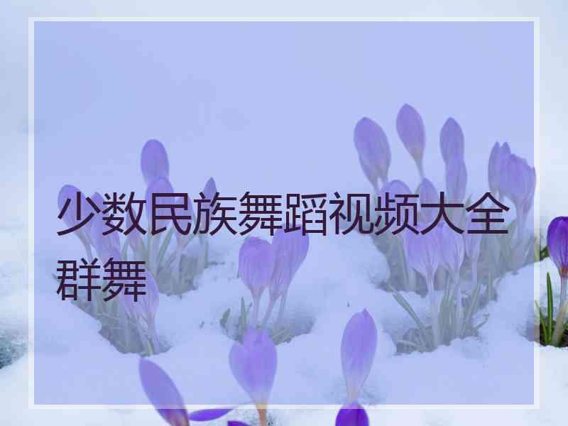 少数民族舞蹈视频大全群舞