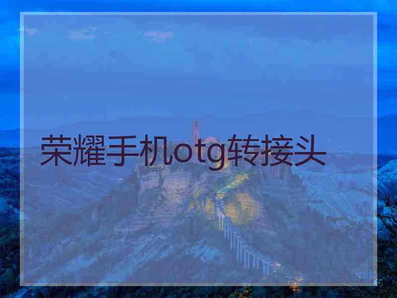 荣耀手机otg转接头