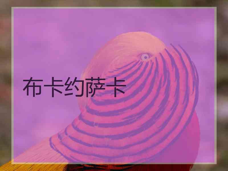 布卡约萨卡