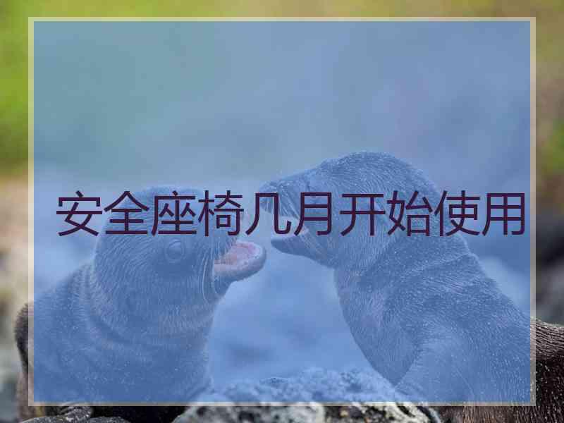 安全座椅几月开始使用