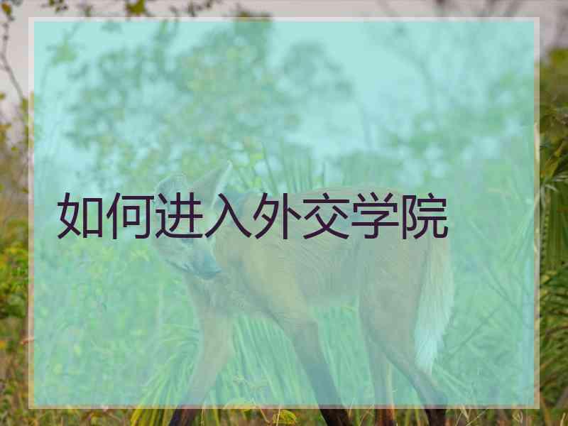 如何进入外交学院