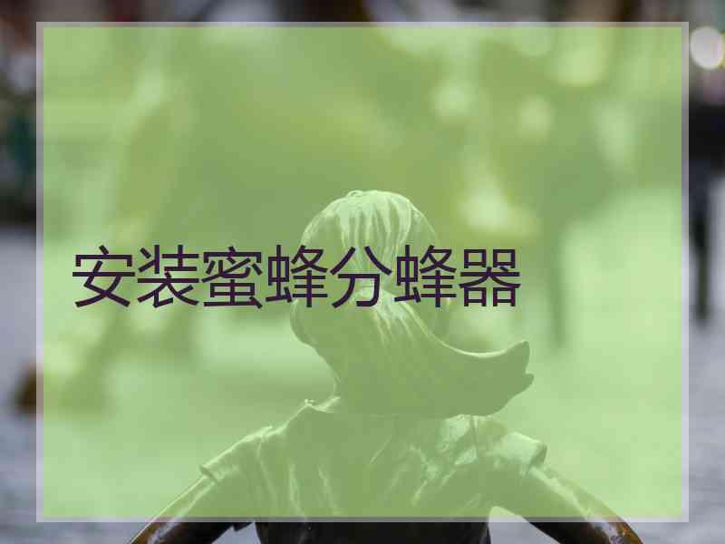 安装蜜蜂分蜂器