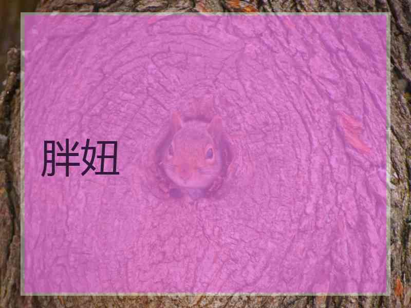 胖妞