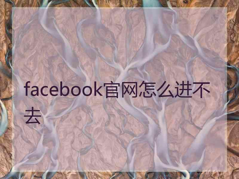 facebook官网怎么进不去