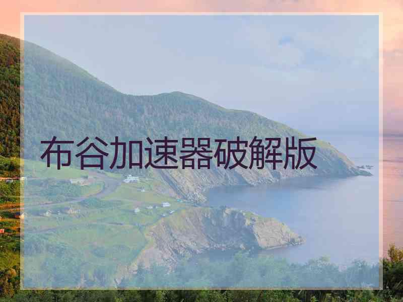 布谷加速器破解版