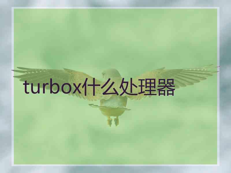 turbox什么处理器