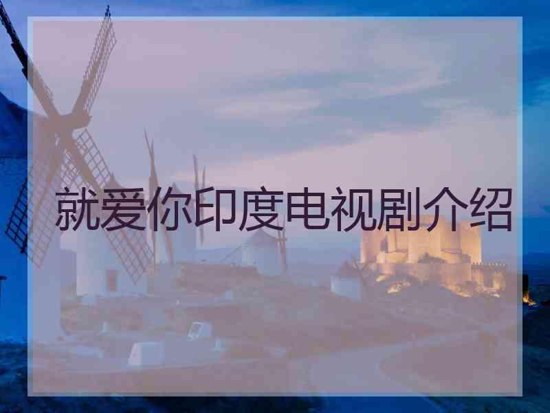 就爱你印度电视剧介绍