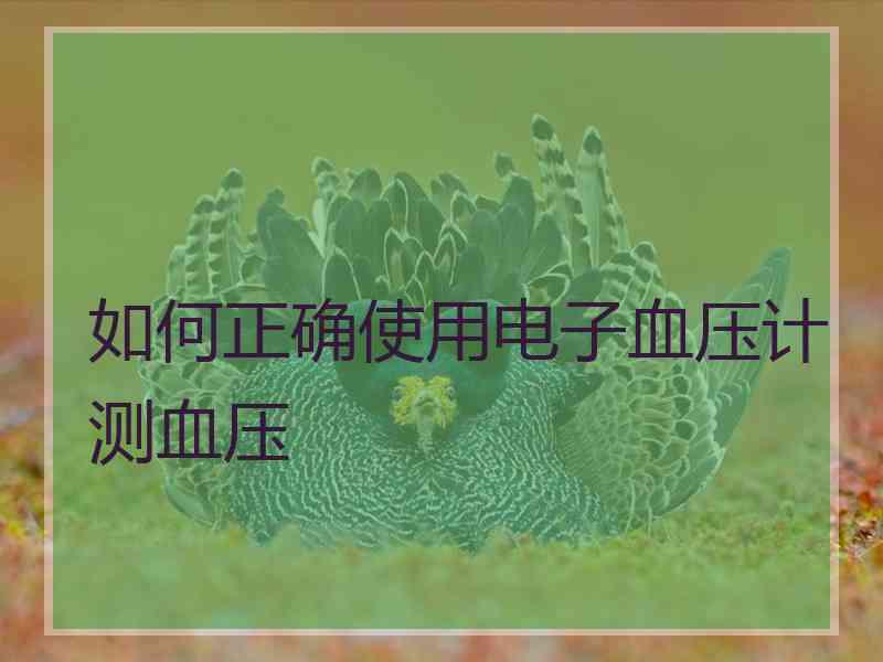 如何正确使用电子血压计测血压