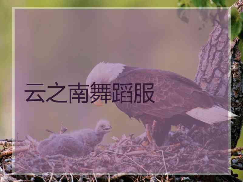 云之南舞蹈服