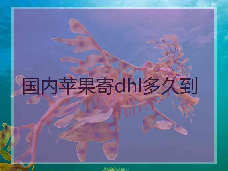 国内苹果寄dhl多久到