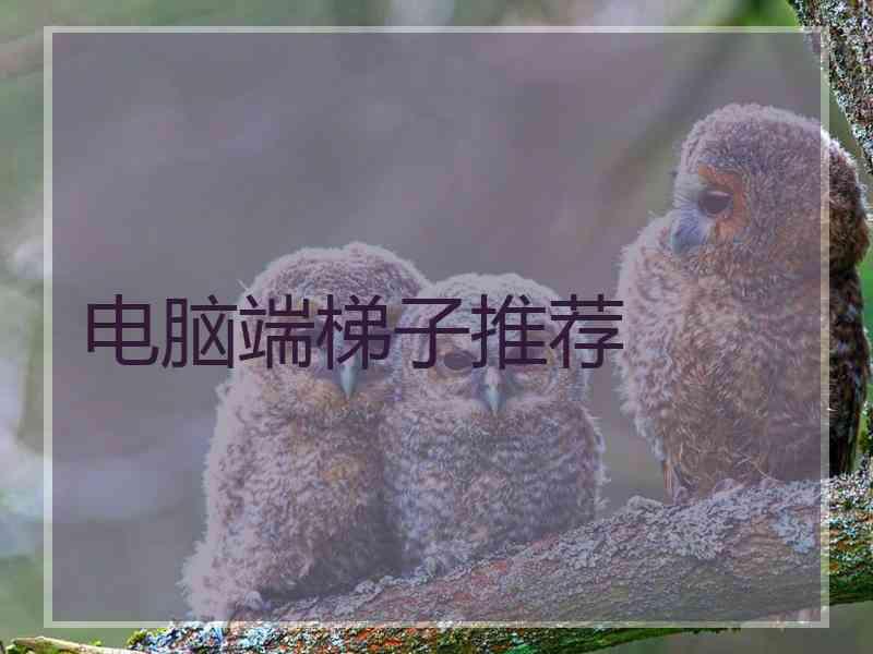 电脑端梯子推荐