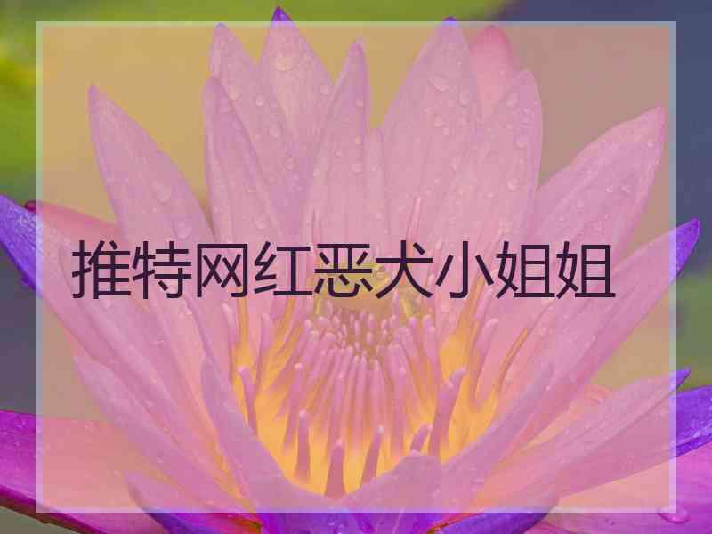 推特网红恶犬小姐姐
