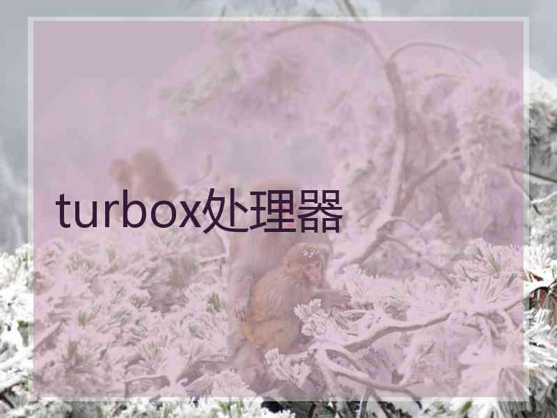 turbox处理器