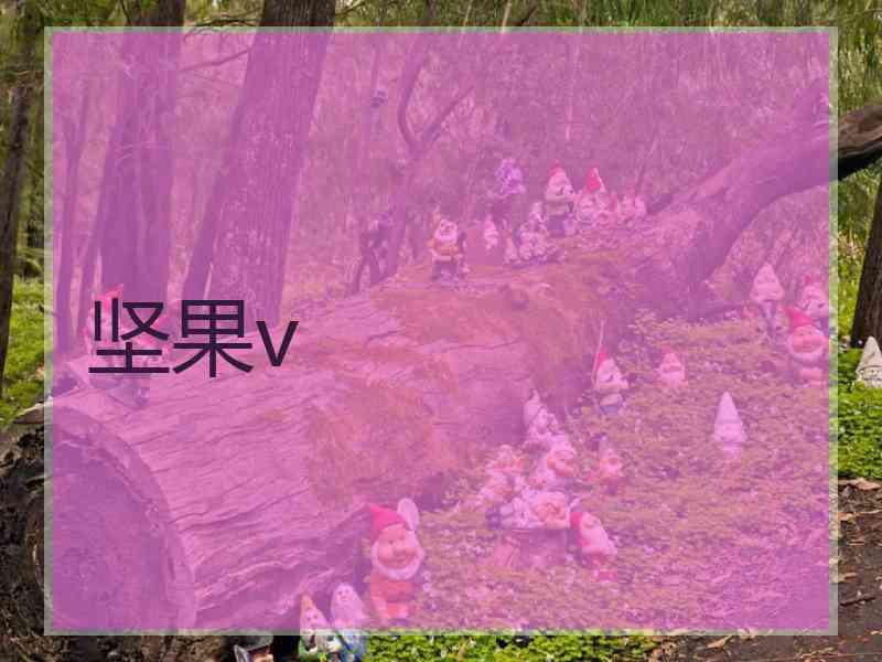 坚果v