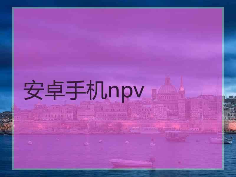 安卓手机npv