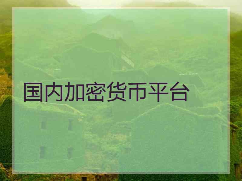 国内加密货币平台
