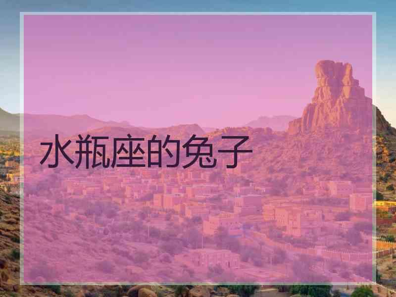 水瓶座的兔子